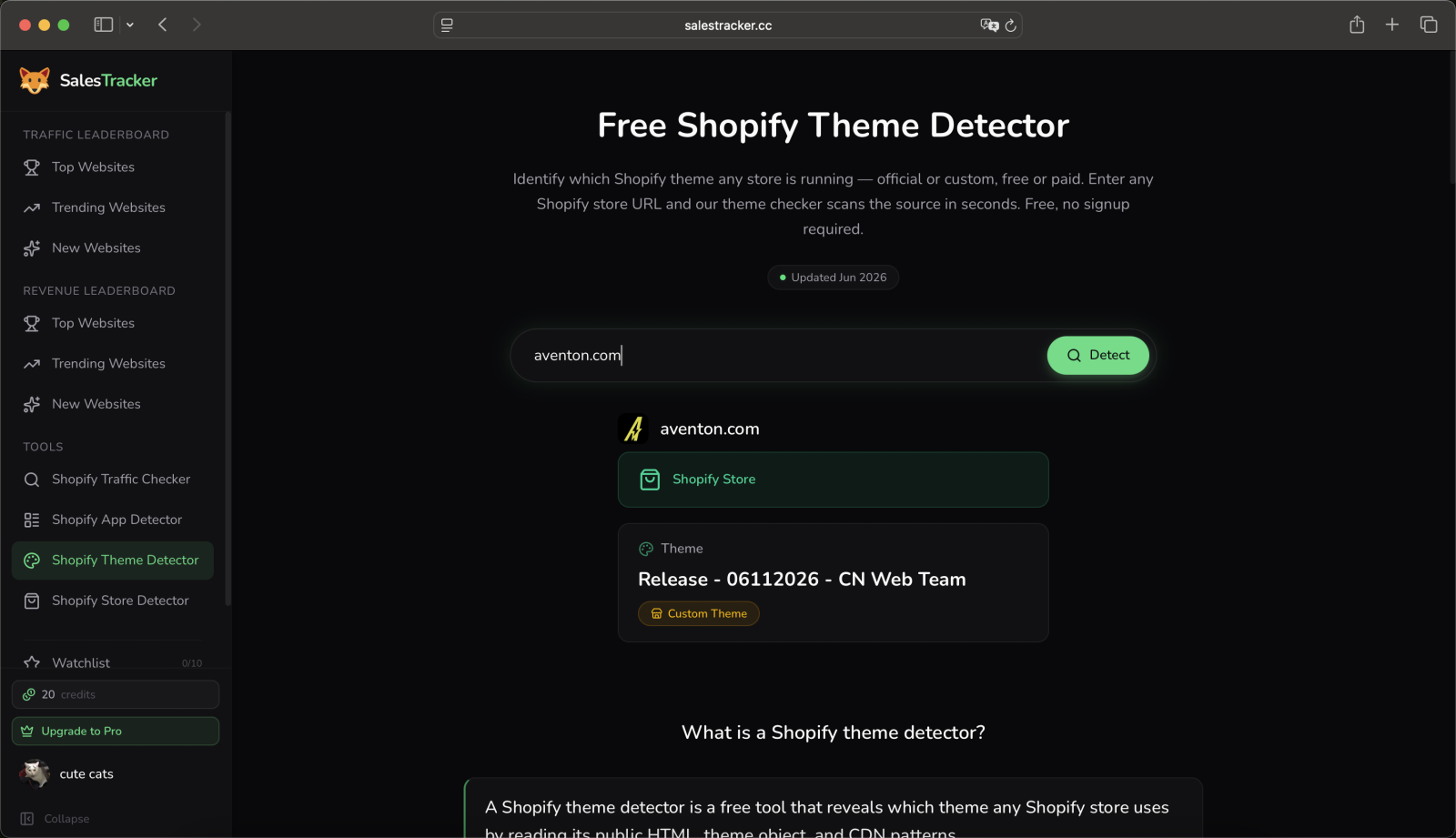 SalesTracker Shopify theme detector